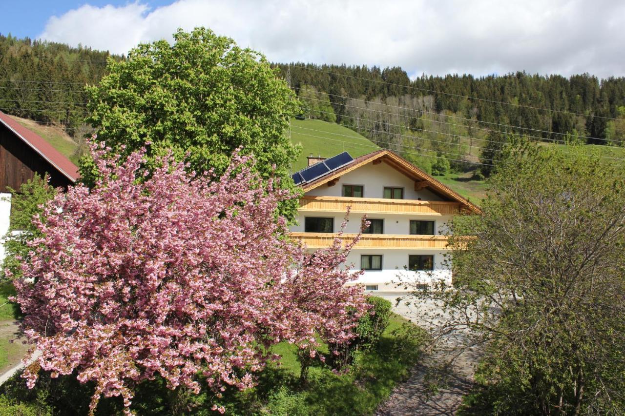 Eiblhof Apartamento Schladming Exterior foto