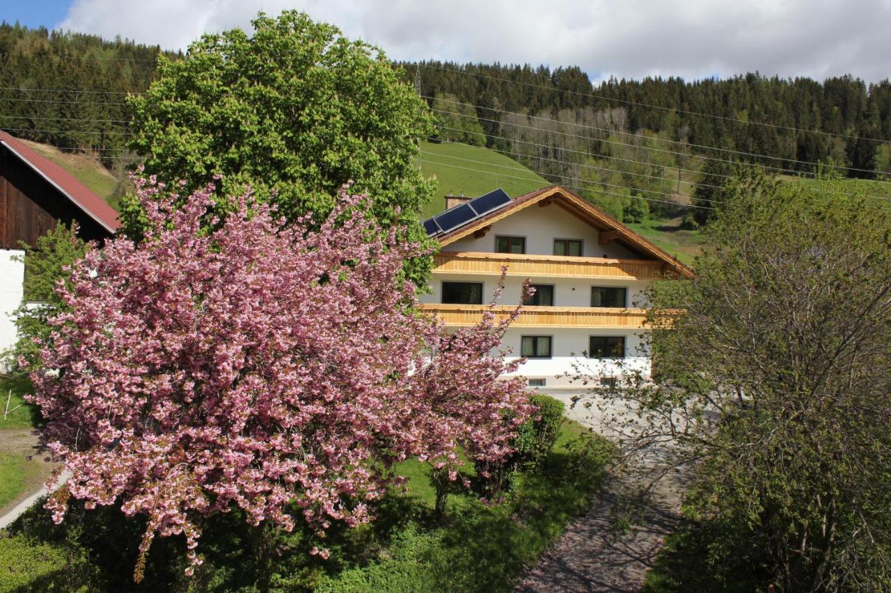 Eiblhof Apartamento Schladming Exterior foto